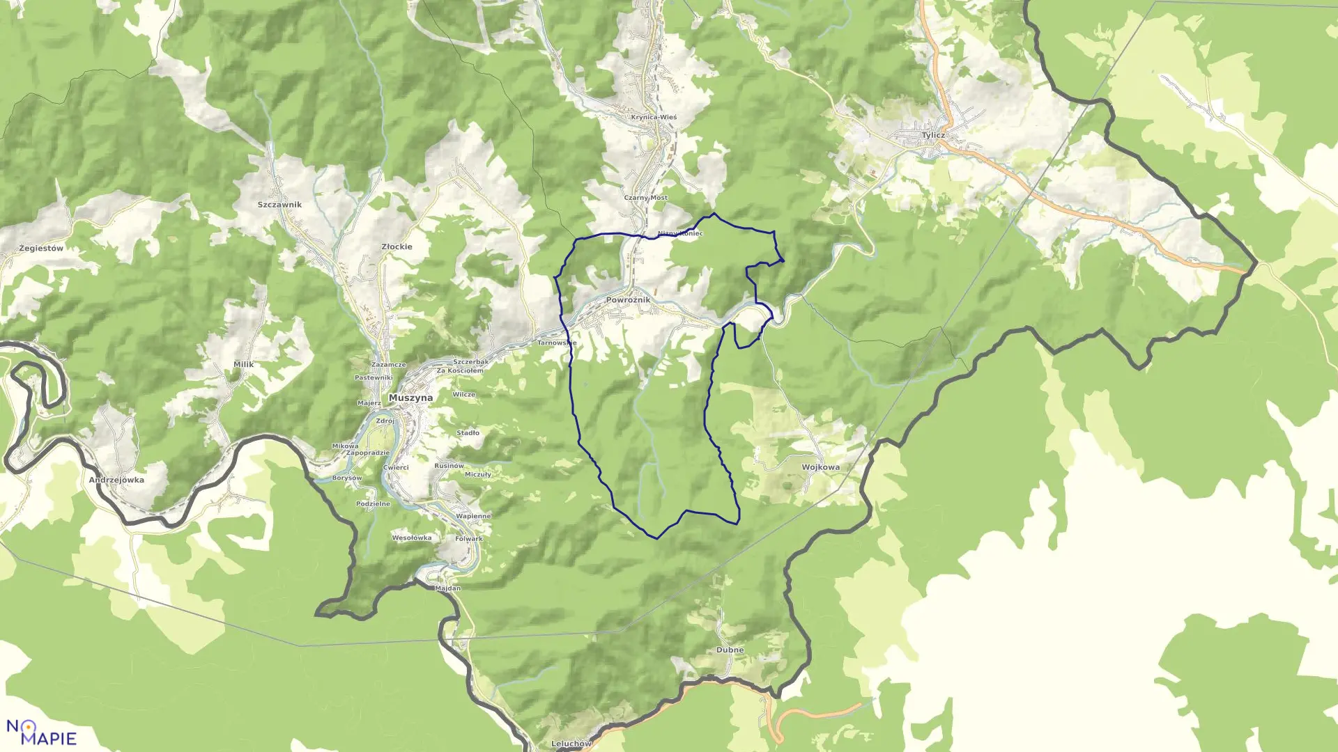 Mapa obrębu Powroźnik w gminie Muszyna