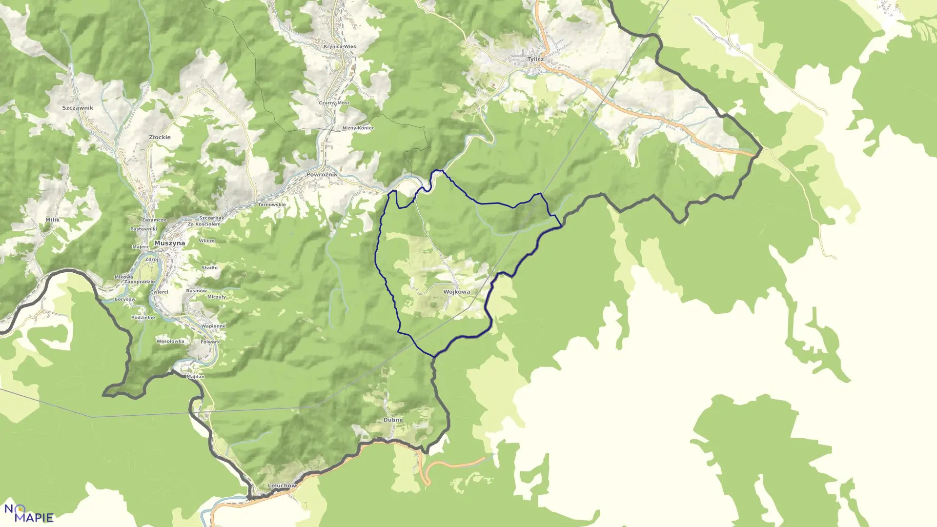 Mapa obrębu Wojkowa w gminie Muszyna